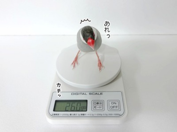 ダイエットしてから乗りなよ