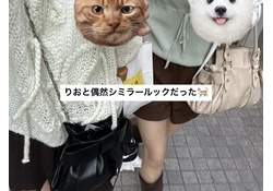 【画像】日向坂4期さん、「胸」だけで誰か判別できる模様