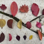 大洋グリーンブログ