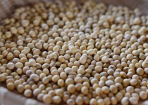三大文明崩壊系のご飯ごっこといえば「ビーフジャーキー」「巾着入りナッツ」