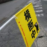 『横断中』の画像