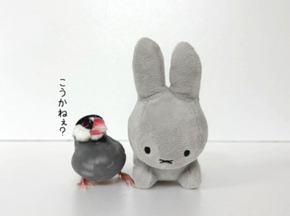 隣りに行ってくれる？