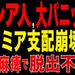 一言居士のSTAP事件簿