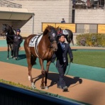 ゆきぞうと愛馬たちの自転車操業中！