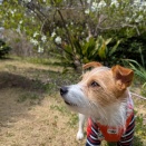 ロング散歩ラスト