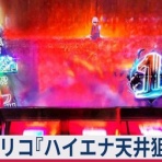 亮磁極回胴夫婦記