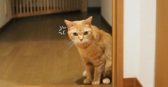 まだ？