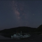 お達者でいたい有能な老ナマケモノ翁