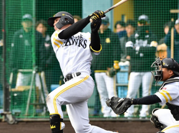 【朗報】SBドラ5高橋隆慶、ガチで当たりっぽい