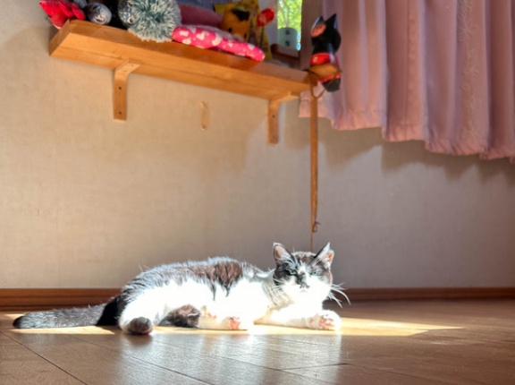 なんとか