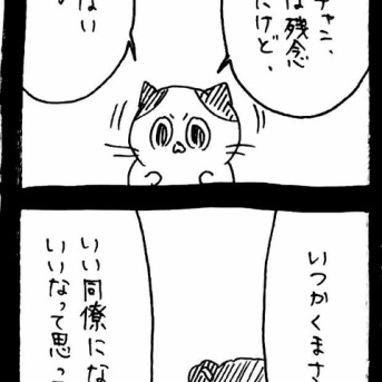 選挙に出馬しよう127