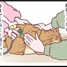 最後間近の頃の話「歩き方がしっかりしてきたんだよ！」