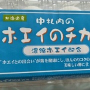 日向ぼっこからじゃれ合いへ。どちらが勝った？