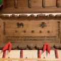 擬宝珠（ぎぼし）です