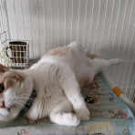 なごちゃん光ちゃんに癒されて　