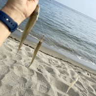 酷暑の釣り