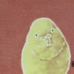 染めもの 中野　 ++今日のお仕事++