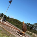 バタバタ〜でした。