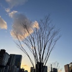 「いつくしみの光」　自分自身への思いやり、温かさは世界へ広がる