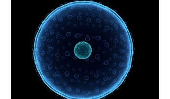 地球の生物誕生の一番初めってナニ?
