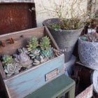 *【100均リメイク】鉢ポットをペイントでもっと可愛く♡*