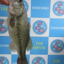 ４月１５日の情報