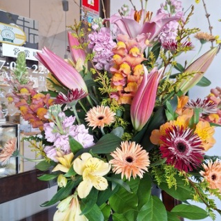 open_heart_shinkoのblog