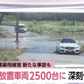 ハムスター速報