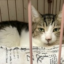 コウヘイの通院🚖