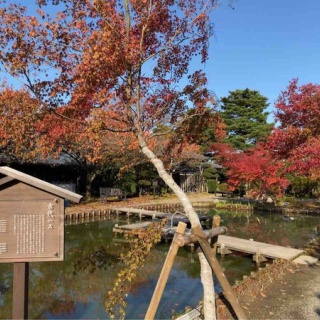 にいがた速報 - 新潟県新潟市の地域情報サイト