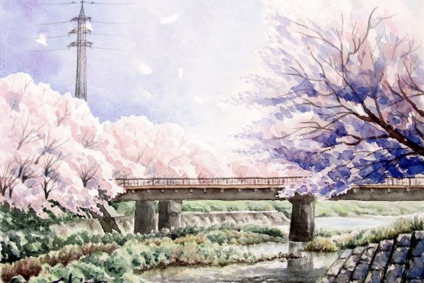 シニアから始めた透明水彩画