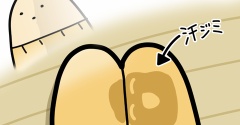 子供達の頭汗がすごい