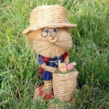 『子供はどうして新型コロナ大丈夫なの？』の画像