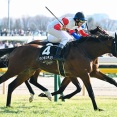 【競馬予想】第71回京王杯スプリングカップ(GⅡ) /2026
