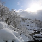 松之山温泉山の森のホテル　ふくずみ