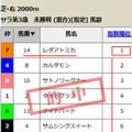 競馬予想無料公開サイト~1/17 ・18(2026)検証