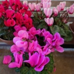 夫婦スポーツ観戦記！