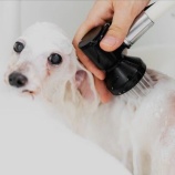 『光マイクロバブル・イノベーション(5500回記念)(49)』の画像