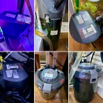 SONOアクアプランツファーム水草･海藻情報局