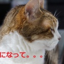 びよーん