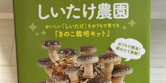 【うおむすめ】ニジマス、キノコ栽培を始める ←『漁業の次は農業か？』