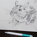 命と絵画と音楽と。