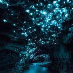 乗鞍のノリクラ～な人々