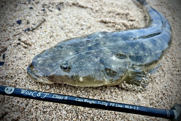 SAKURA LURE DIVISION 釣行記 - C3+ W.o.r.C 8'7