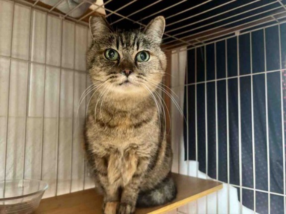 むうちゃんのこと