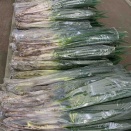 11/22（土）営業します