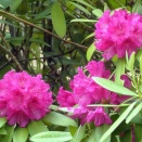 連休入りなんですね