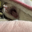 ☆グチャグチャにするの～？