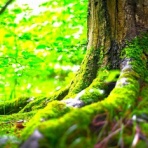 心理カウンセラー◆吉村　ひろえ