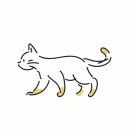 階段を使うようになって